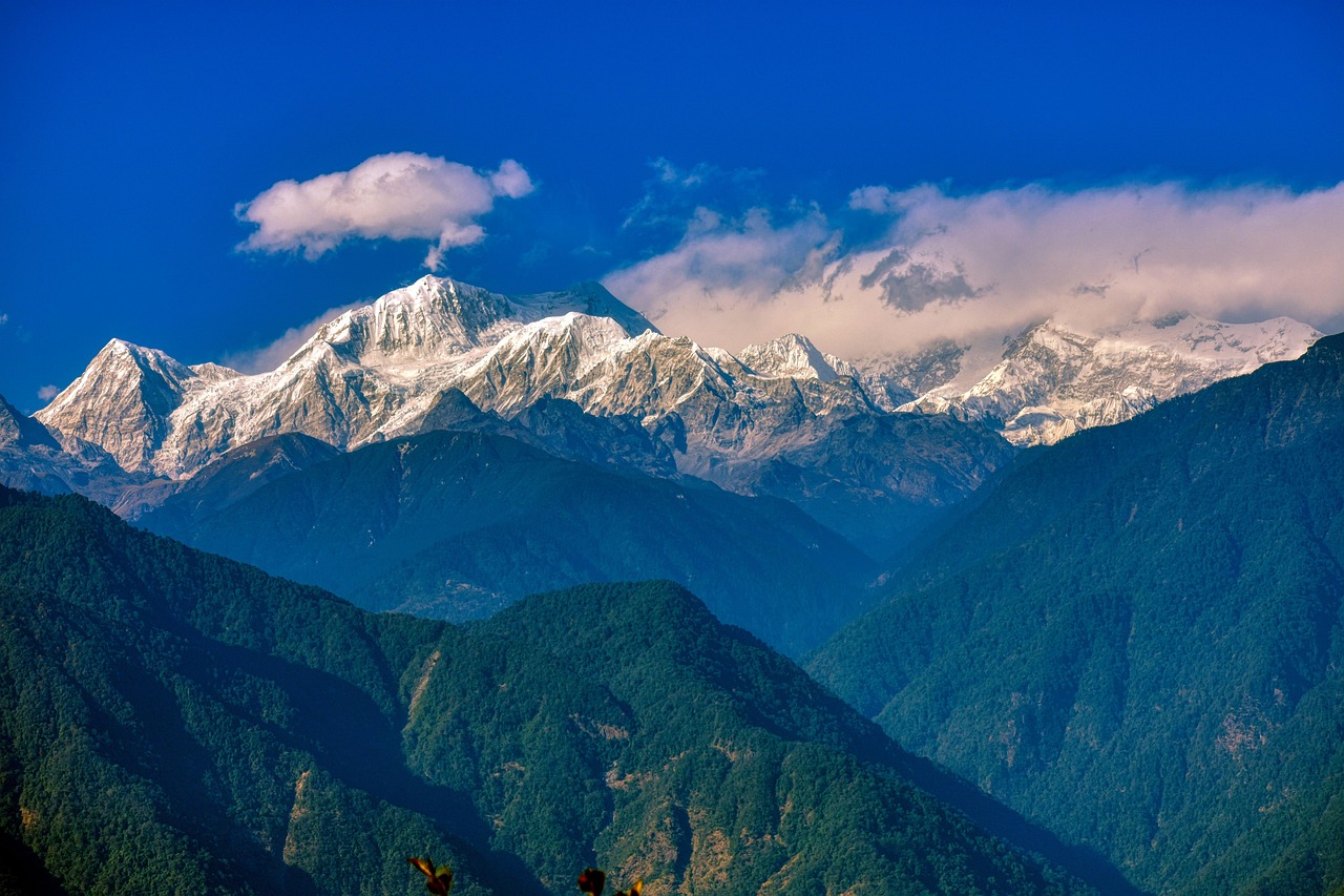 Is Advanced Sikkim Casino License Legal in India? Complete 2026 Guide