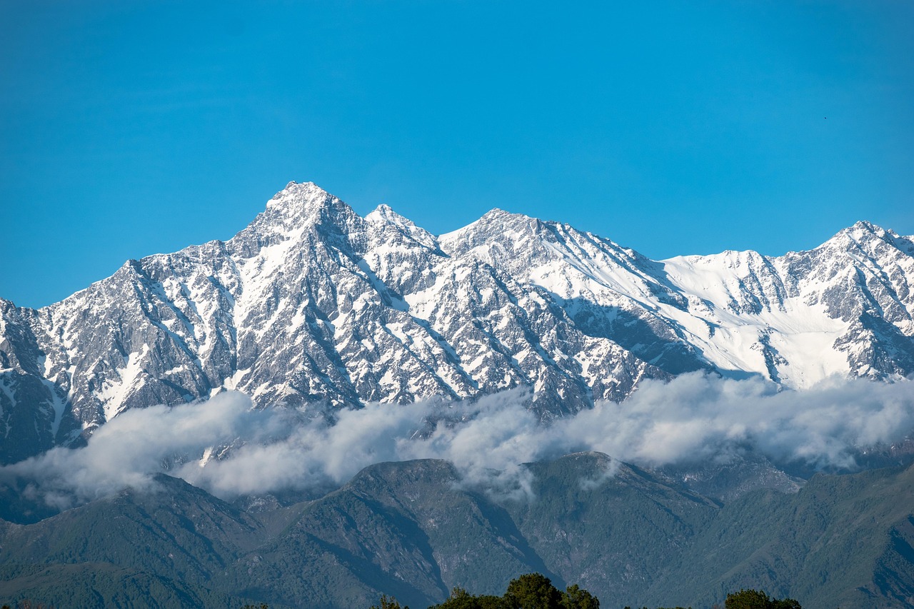 100% Safe Real Money Betting India Review 2027: Bonus, App, Withdrawal Tested